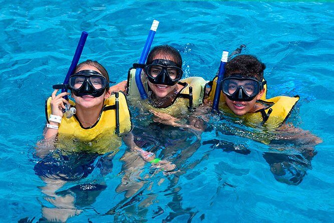 Amazing Snorkel Adventure! Round Transportation From Cancun - Who Will Love This Tour?
