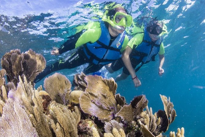 Amazing Snorkeling Experience in Cancun - Cancellation Policy and Refunds