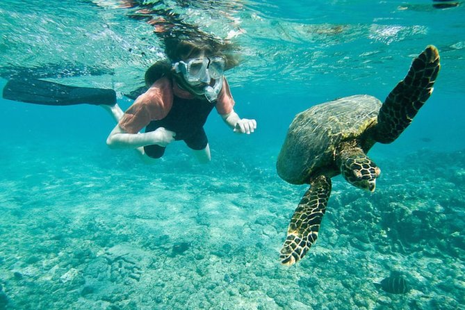 Amazing Snorkeling Experience in Cancun - Common Questions