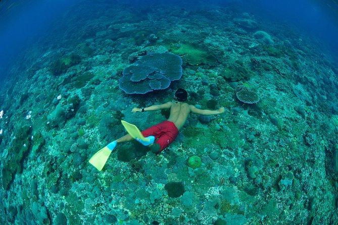 Amazing Snorkeling in Bali - Top Snorkeling Spots in Bali