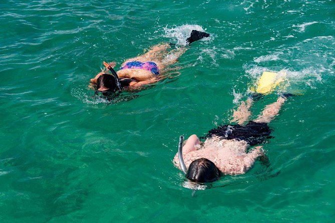 Amazing Snorkeling in Bali - Gear and Equipment Essentials