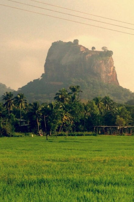 Amazing Sri Lanka 3-Nights Tour - Inclusions and Exclusions