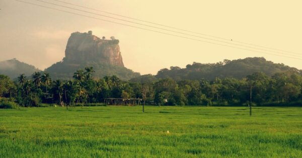 Amazing Sri Lanka 3-Nights Tour - Important Travel Tips