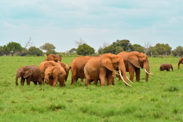 Amazing Sri Lanka 3-Nights Tour - Booking and Payment Options