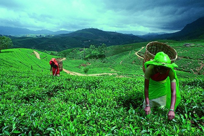 Amazing Sri Lanka ( 6N/ 7D) - Price and Cancellation Policy