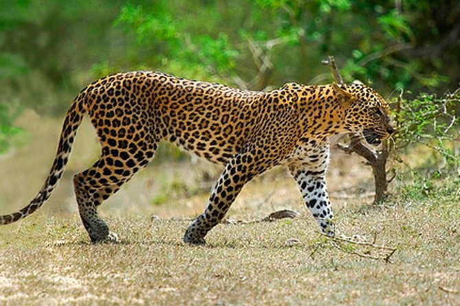 Amazing Sri Lanka ( 6N/ 7D) - The Sum Up