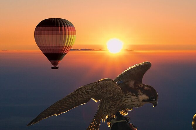 Amazing Standard Hot Air Balloon Ride at Dubai Desert - Common Questions