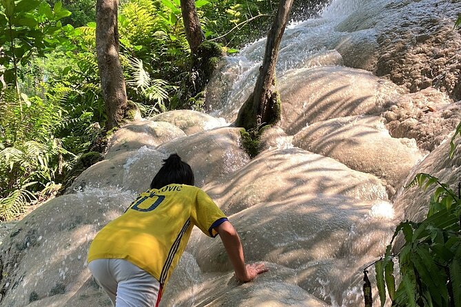 Amazing Sticky Waterfall With Local Expert Yummy Food and Fruits - Activity Details
