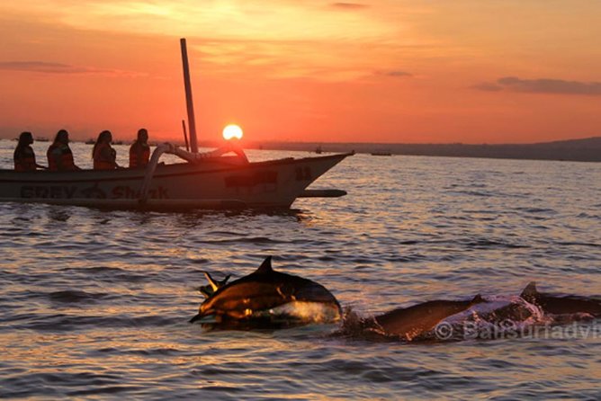 Amazing Tour Lovina See Dolphin And Bayumala Waterfall - Inclusions