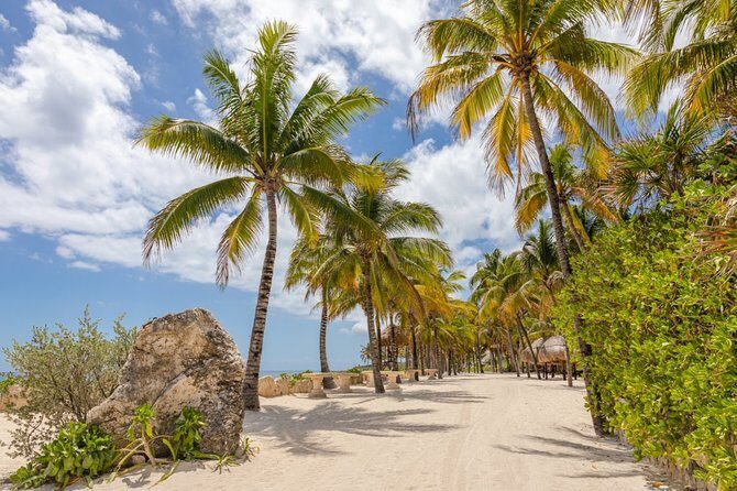 Amazing tour to 3 eco-parks with extreme and incredible adventures. - Final Thoughts: Is This Tour Right for You?