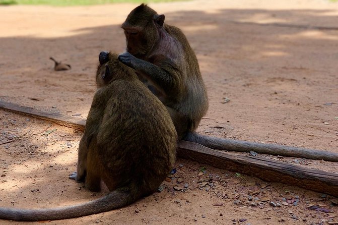 Amazing Tour To Kulen Mountain Waterfall, Sunset at Kompong Plok Foating Village - Cultural Insights