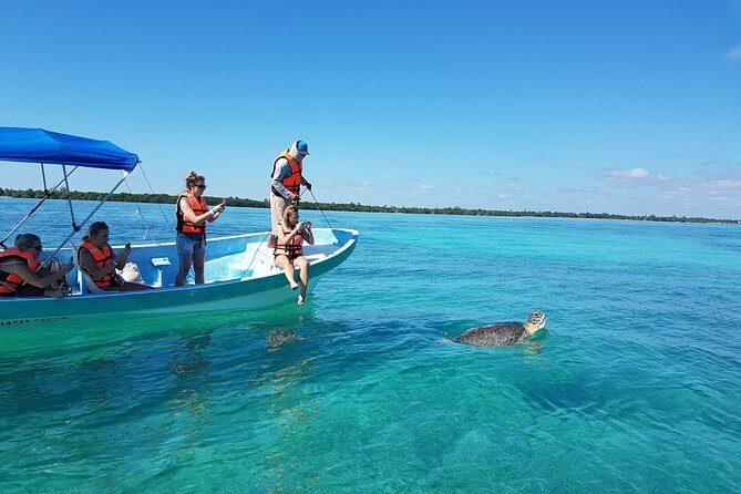 Amazing tour to Sian Kaan Biosphere Reserve. Perfect tour for nature lovers - Practical Details and Considerations