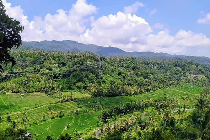 Amazing Tours Kertagosa, Besakih Temple & Jambul Hills - Cancellation Policy Details
