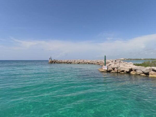 Amazing Two Tank Reef Diving - Frequently Asked Questions