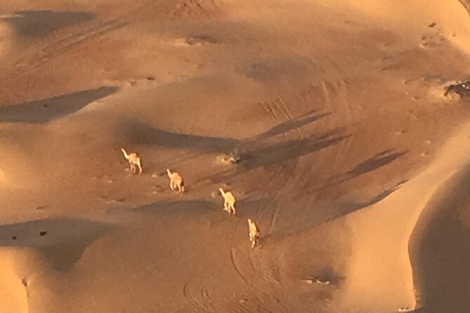 Amazing Views Of Dubai Beautiful Desert By Hot Air Balloon From Dubai - What to Expect During the Balloon Ride
