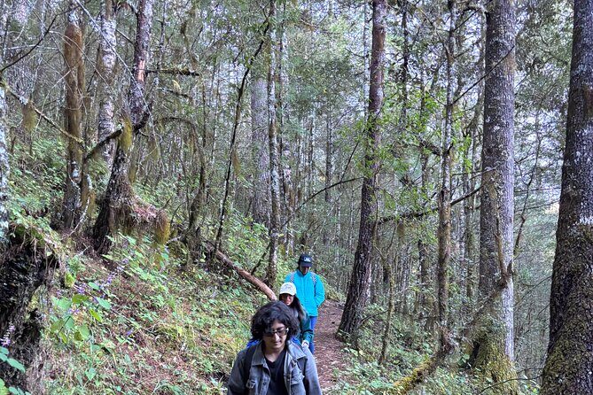 Amazing Walk through the Zapotec Mountains with Hot Chocolate - FAQs