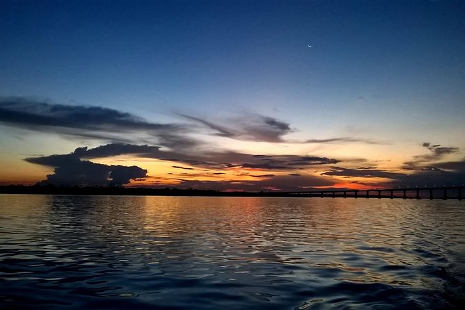 Amazon Adventure Wildlife Observation in a Night Tour - Wildlife Spotting Opportunities