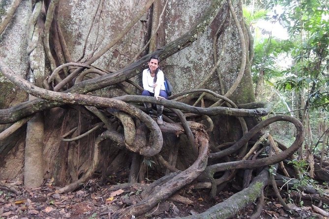 Amazon Jungle Expeditions 3/ Days 2/ Nights - Wildlife Encounters and Nature Exploration