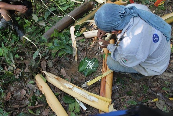 Amazon Jungle Expeditions 3/ Days 2/ Nights - Booking and Pricing Information