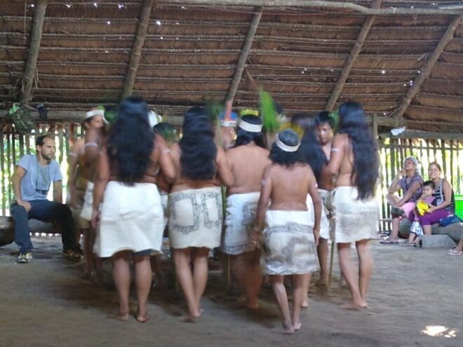 Amazon Odyssey: Explore Rainforest Wonders on Our Tours! - Additional Information