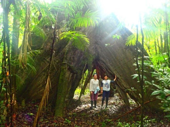 Amazon Odyssey: Explore Rainforest Wonders on Our Tours! - The Sum Up and Reflection