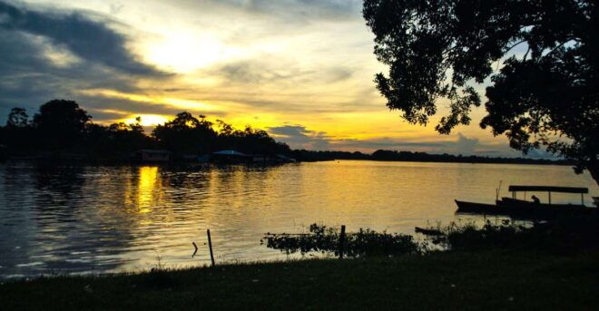 Amazonas Express: Explore Puerto Nariño and Tarapoto Lakes - Activity Details