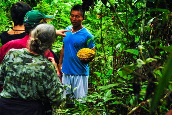 Amazonas Express: Explore Puerto Nariño and Tarapoto Lakes - The Sum Up