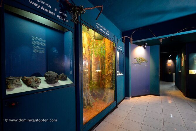 Amber Cove and Taino Bay Puerto Plata City Tour for Group - Authentic Touches and Traveler Insights