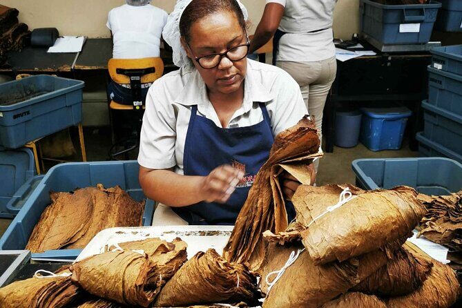 Amber Cove and Taino Bay Puerto Plata City Tour for Group - The Sum Up