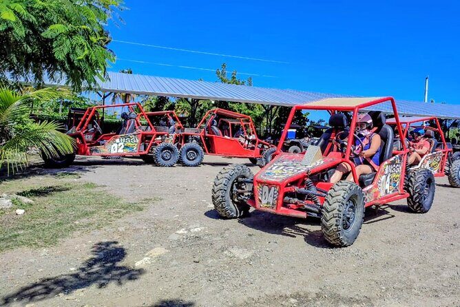 Amber Cove Buggy Tour with Swimming and Tasting - What Is the Amber Cove Buggy Tour All About?