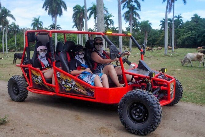 Amber Cove Buggy Tour with Swimming and Tasting - Final Thoughts