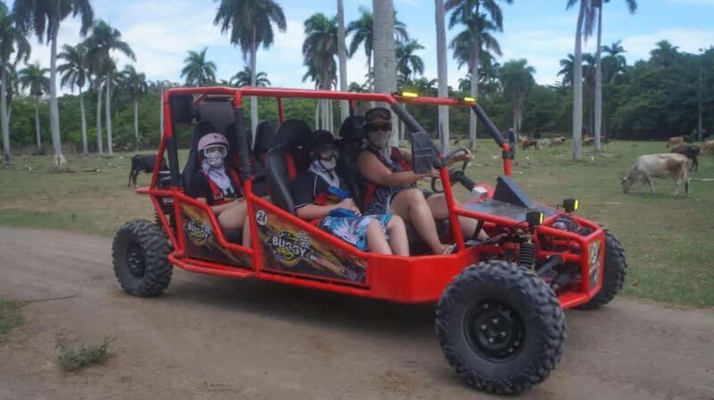 Amber Cove/Taino Bay: Super Buggy Tour - Good To Know