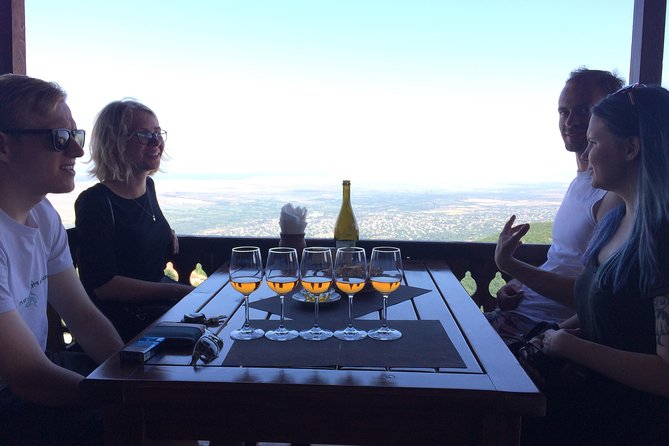 Amber Wines Private Day Trip With Tastings and Lunch From Tbilisi - Inclusions and Amenities