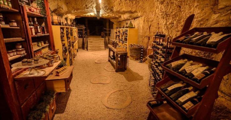 Amboise: Caves Ambacia Visit and Wine Tasting - Experience