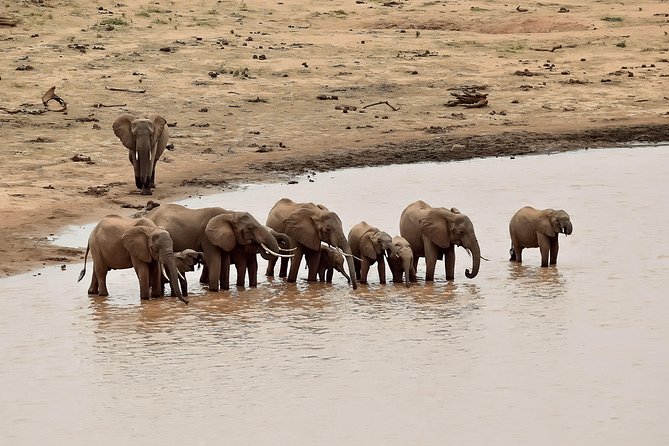 Amboseli Day Excursion - Good To Know