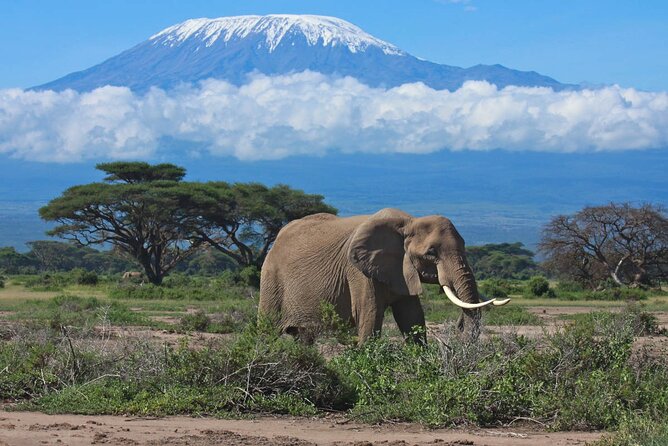 Amboseli Day Excursion - Pickup Points and Directions