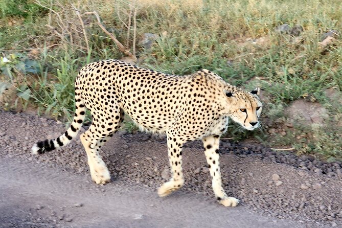 Amboseli & Nairobi National Park 3 Day Safari - Itinerary Highlights