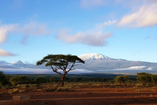 Amboseli & Nairobi National Park 3 Day Safari - Optional Maasai Village Visit