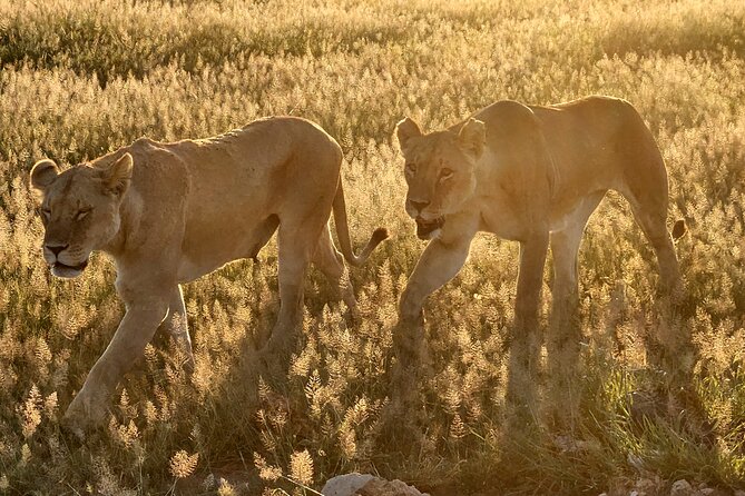 Amboseli & Nairobi National Park 3 Day Safari - Customer Reviews