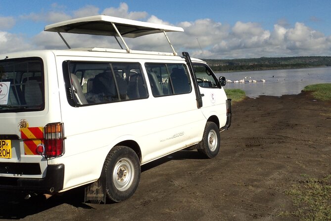 Amboseli National Park for 1 Night and 2 Days - Wildlife Experience