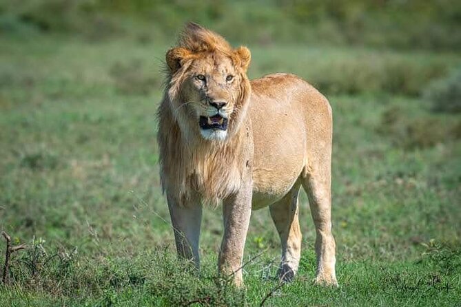 Amboseli National Park for 1 Night and 2 Days - Frequently Asked Questions