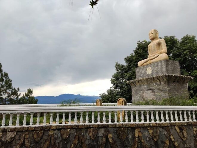 Ambuluwawa Tower & Pinnawala & Kandy Day Tour From Negombo - Inclusions and Exclusions