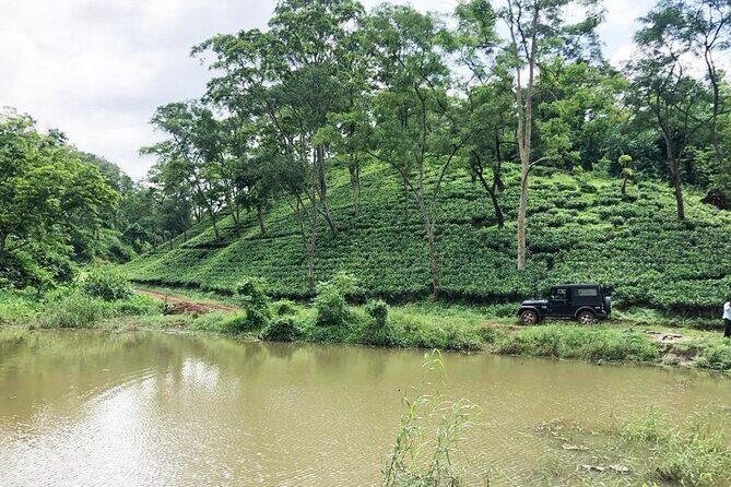 Amchong Tea Estate + Factory Visit (with Hi-tea only) - Good To Know