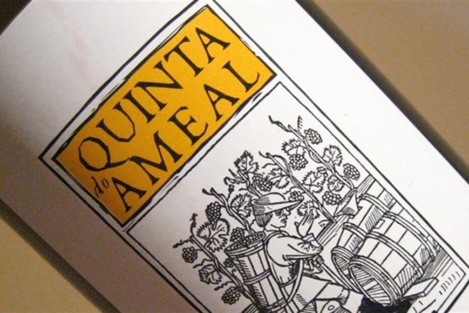 Ameal Wine Experience - Vineyard Tour