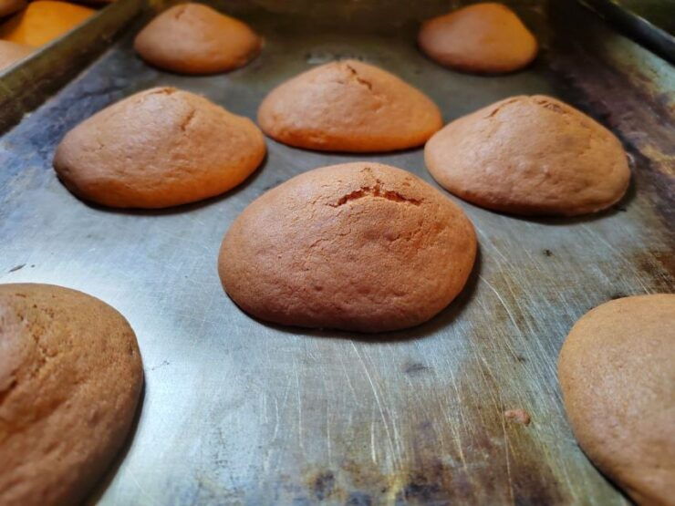 Amealco: Doll Workshop and Cookie and Pulque Tasting - Activity Details