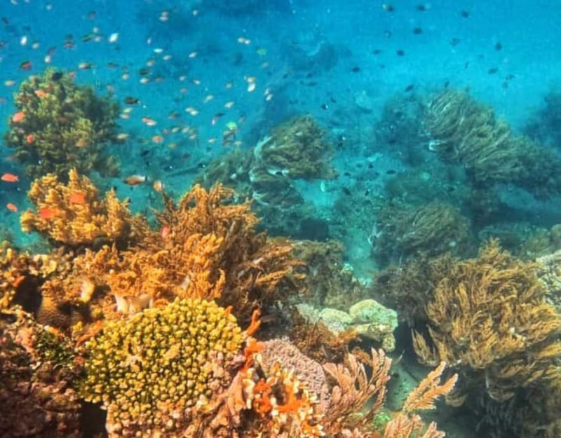 Amed All Exclusive Snorkeling, Fishing & Cooking Lunch - Enjoying the Lunch in a Relaxed Setting