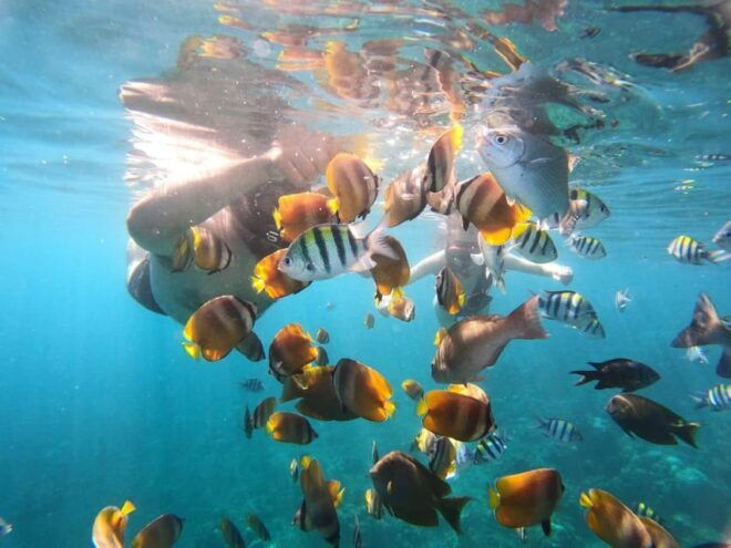 Amed Bali : Senorkling Tour Underwater Temple - Participant Requirements