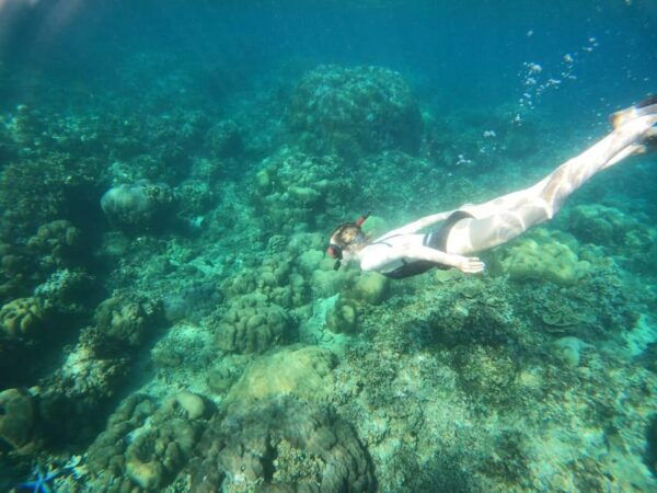 Amed Bali : Senorkling Tour Underwater Temple - Tips for a Great Experience