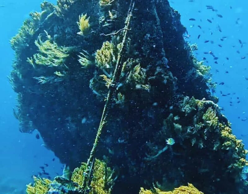 Amed Bali Snorkeling: Explore 3 Spots by Traditional Jukung - Additional Considerations