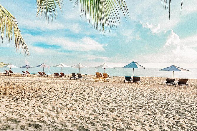 Amed Bali Snorkelling: Japanese Shipwreck & Vienna Beach Tour - The Authentic Experience and Value